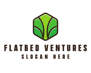 Organic Leaf Spa logo design