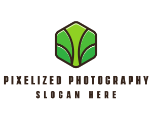 Organic Leaf Spa logo design