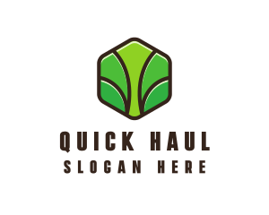 Organic Leaf Spa logo design