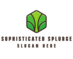 Organic Leaf Spa logo design