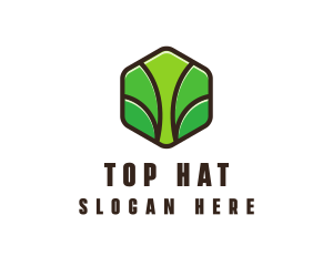 Organic Leaf Spa logo design