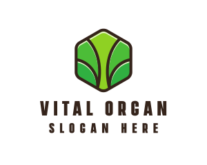 Organic Leaf Spa logo design