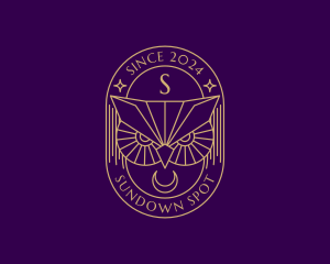 Night Owl Moon logo