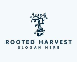 Tree  Book School logo design