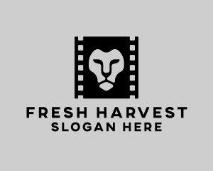 Lion Film Production Logo