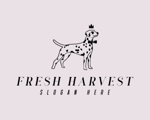 Pet Dalmatian Dog logo design