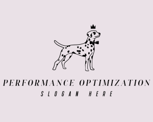 Pet Dalmatian Dog logo design