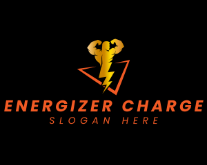 Lightning Power Electrician logo design