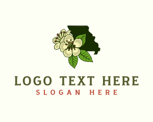Missouri State Flower logo