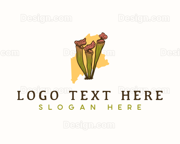 Maine Pitcher Plant Logo