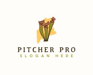 Maine Pitcher Plant logo design