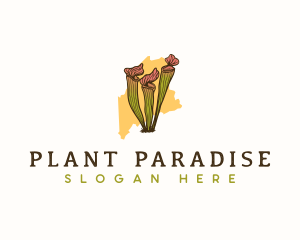 Maine Pitcher Plant logo design