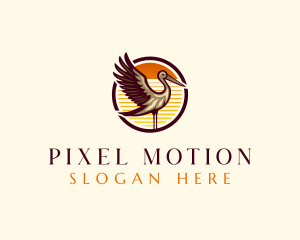 Animal Seagull Bird logo design