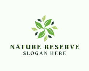 Organic Natural Leaf logo design