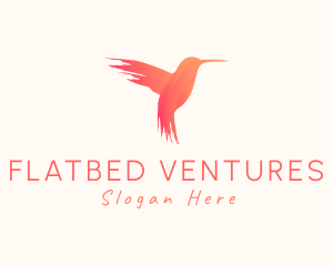 Hummingbird Gradient Paint logo design