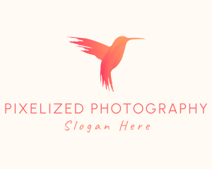 Hummingbird Gradient Paint logo design