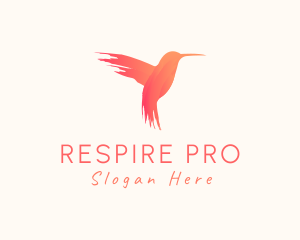 Hummingbird Gradient Paint logo design