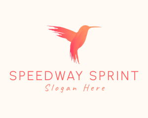 Hummingbird Gradient Paint logo design