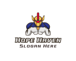 Hero Game Esports Clan Logo