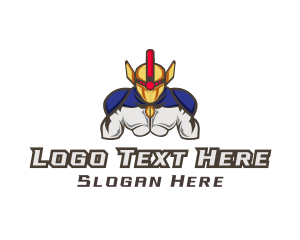 Esports - Hero Game Esports Clan logo design