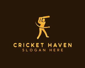 Cricket League Player logo