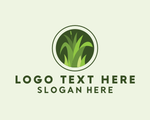 Grass Lawn Maintenance  Logo