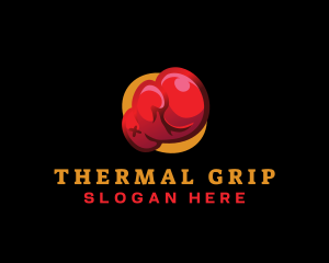 Sport Boxing Gloves logo