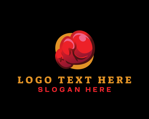 Boxer logo example 1