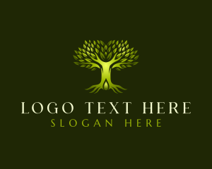 Tree Natural Oil Logo