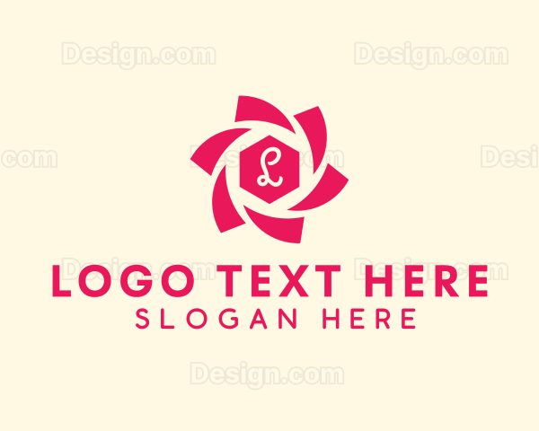 Generic Spiral Hexagon Logo