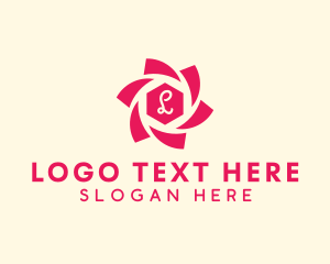 Generic Spiral Hexagon  logo