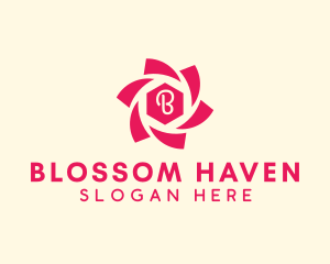 Generic Spiral Hexagon  logo design