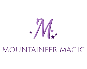 Magical Stars Fairy Tale logo design