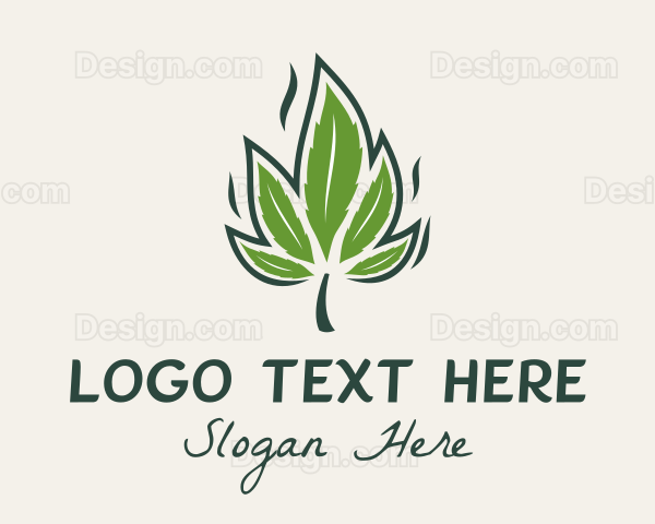 Medical Marijuana Leaf Logo