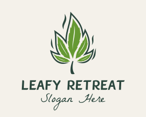 Medical Marijuana Leaf  logo design