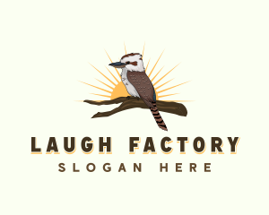 Laughing Kookaburra Bird logo design