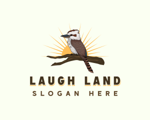 Laughing Kookaburra Bird logo design