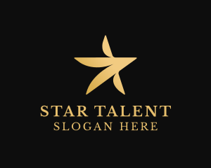 Star Entertaiment Agency logo