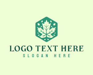 Maple Tree Leaf logo