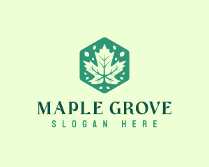 Maple Tree Leaf logo design