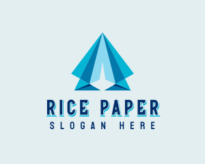 Plane Flight Delivery logo design