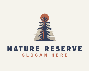 Pine Tree Nature Camp logo design