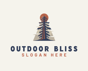 Pine Tree Nature Camp logo design