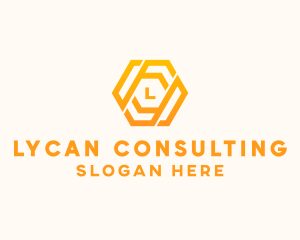 Finance Business Hexagon  logo design