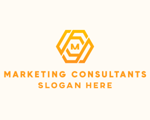 Finance Business Hexagon  logo design