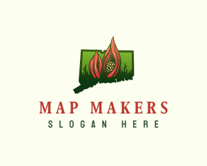 Connecticut Skunk Cabbage Plant logo design