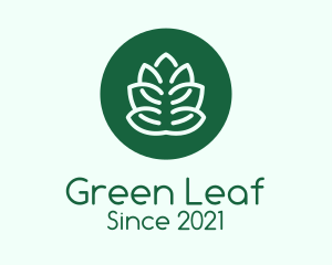 Circle Green Plant  logo design