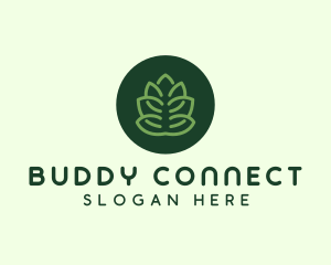 Circle Green Plant  logo design