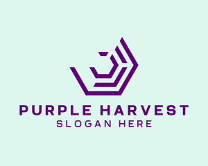 Purple Digital Hexagon logo design