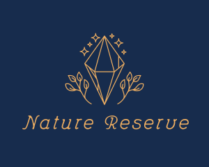 Diamond Leaf Nature logo design